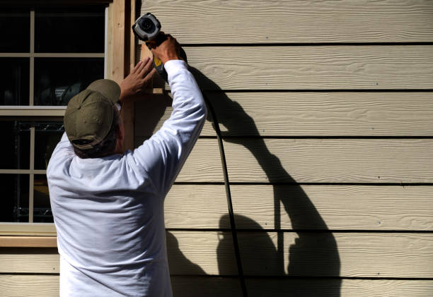 Best Historical Building Siding Restoration  in Morris, MN